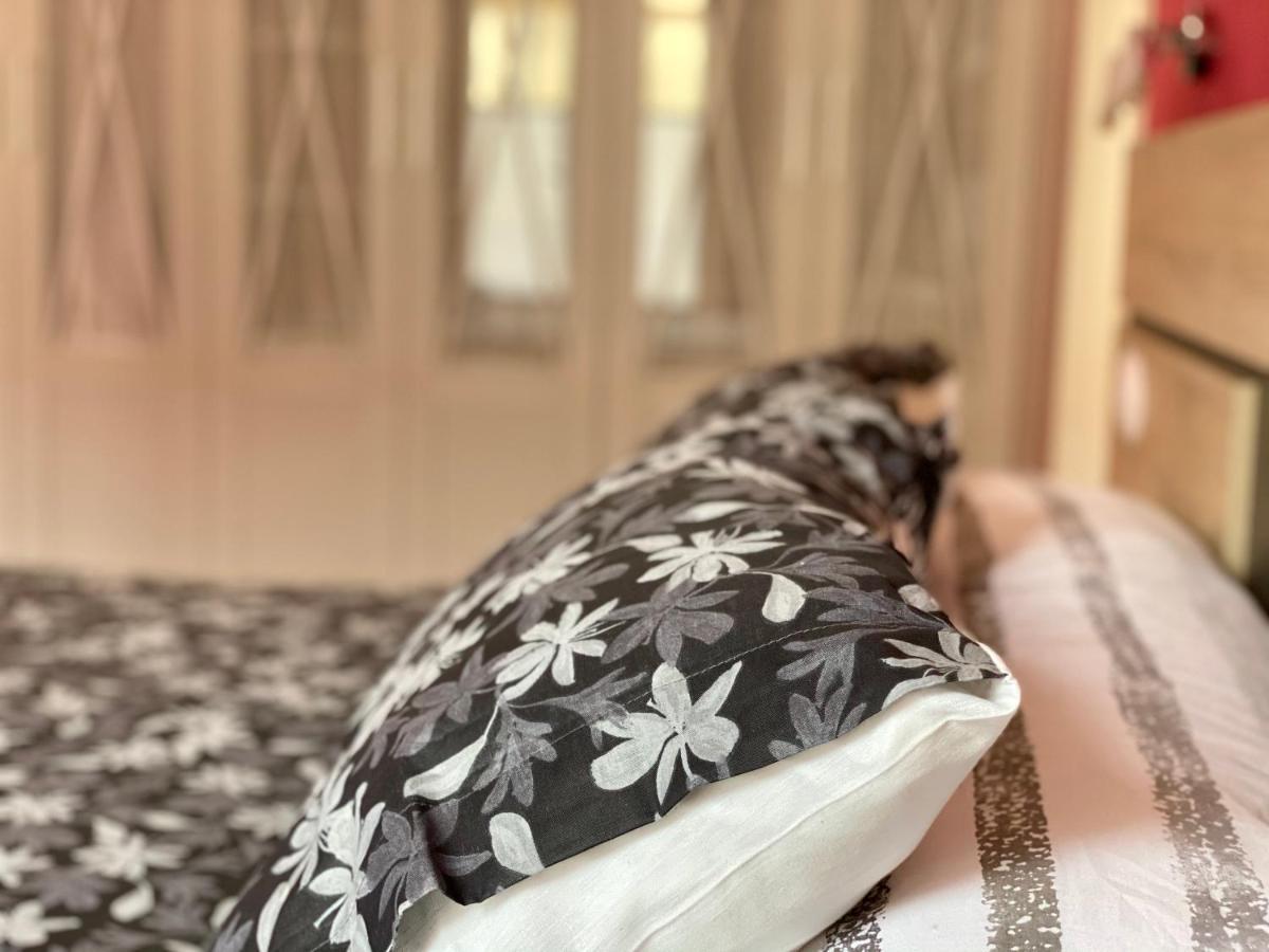 Apartament Housingleon- Barrio Humedo Zewnętrze zdjęcie